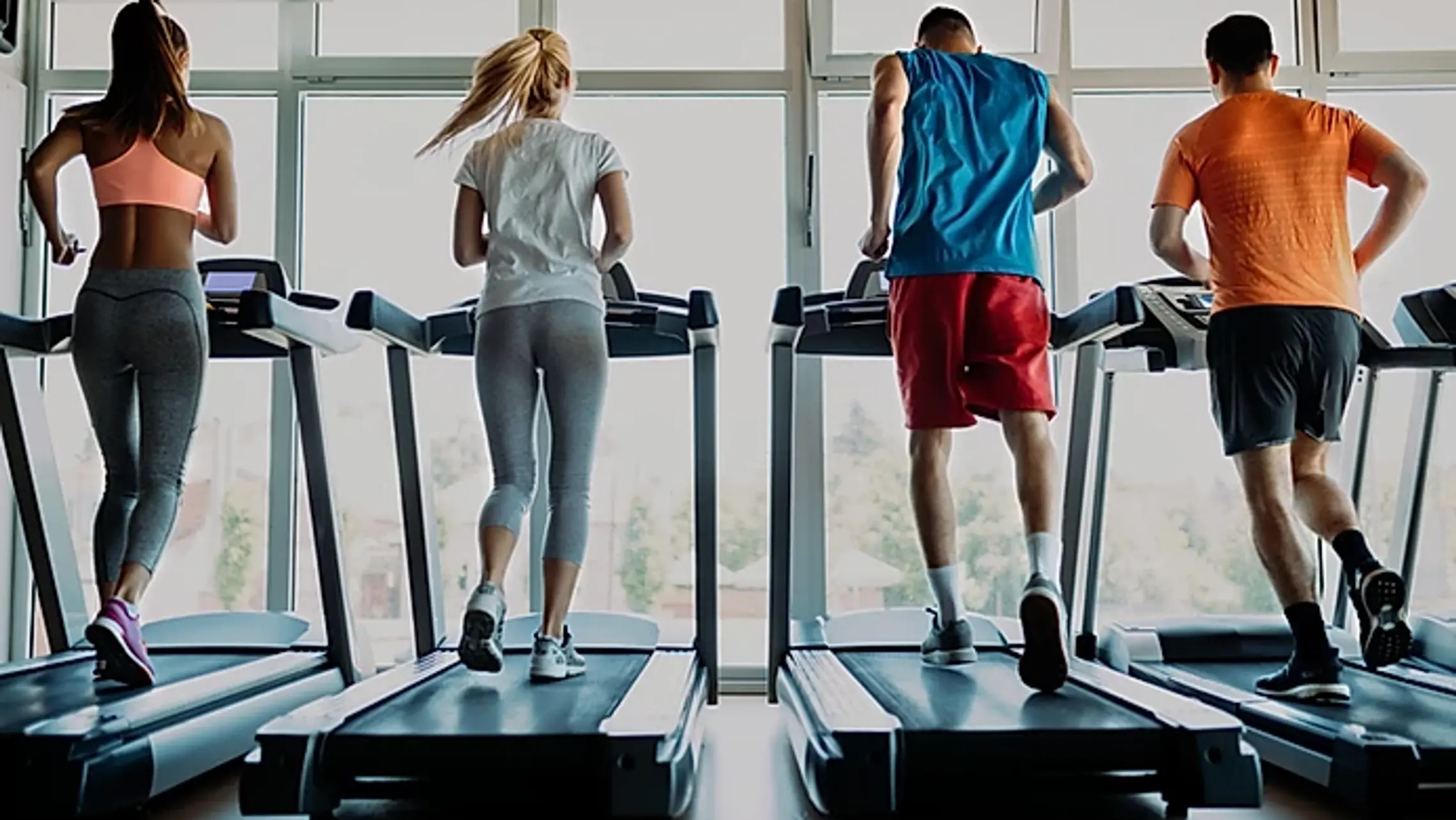 Gym Fitness & Treadmills